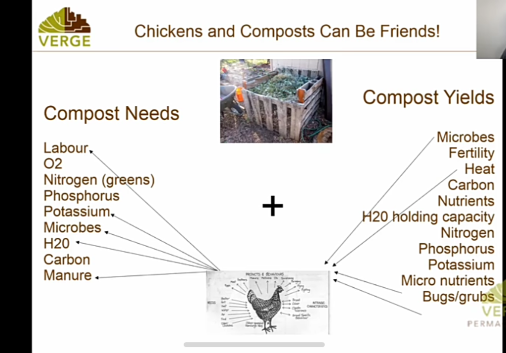 Chickens & Compost Working Together